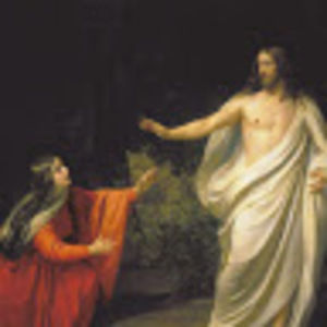 Meet your Posher, Camile